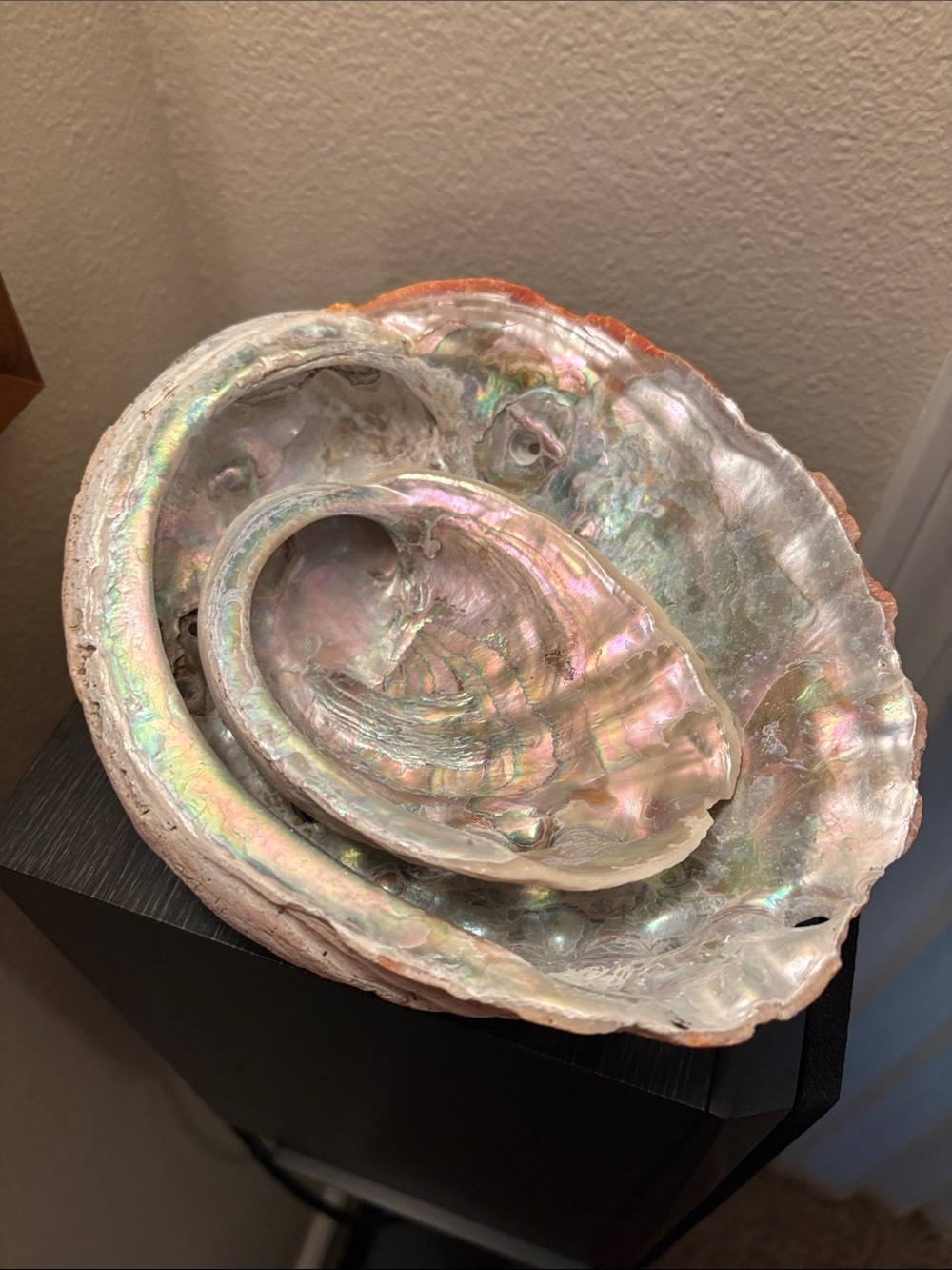 2 Iridescent Abalone Shell Decorative Bowls - Natural Pearl Sheen
